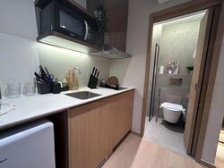 Mount Elizabeth Link (D9), Condominium #466086681